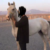 معاوضه با اسبم دارم