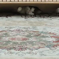 فرش ۱۲ متری