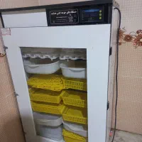 دستگاه جوجه کشی|لوازم جانبی حیوانات|هندیجان, |دیوار