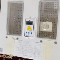 دستگاه جوجه کشی