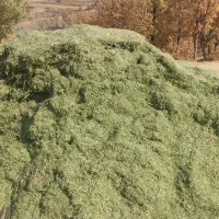 یونجە