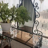 فروش آینه|مبلمان خانگی و میز عسلی|چالوس, |دیوار