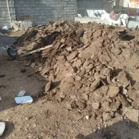 پهن گوسفندی