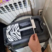 باکس و خانه گربه سگ|لوازم جانبی حیوانات|تهران, چیذر|دیوار