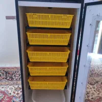دستگاه جوجه کشی هدایت 210تایی|لوازم جانبی حیوانات|لردگان, |دیوار