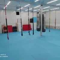 مربی هوازی بانوان ومربی رقص