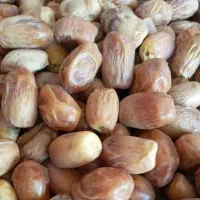 خرما زاهدی،قصب|خوردنی و آشامیدنی|شیراز, تاچارا|دیوار