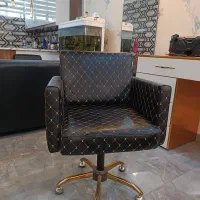 دو عدد صندلی کپ