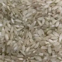 فروش برنج