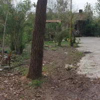 یک باب خانه کلنگی با زمین|فروش زمین و ملک کلنگی|رشت, بیجارپس|دیوار