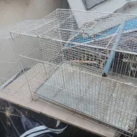دوقفس درحد نو  یکی بزرگ یکی کوچک
