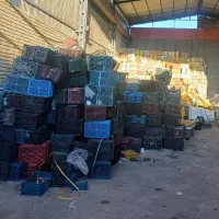 کارتن موزی سبد میوه ضایعات