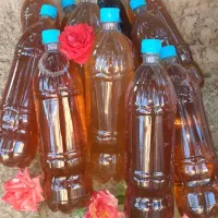 سرکه سیب|خوردنی و آشامیدنی|محلات, |دیوار