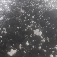 ۵تن کمپوست فروشی تنی ۸۰۰