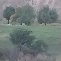باغ-زرد-الو