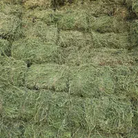 انبار خوراک دام|لوازم جانبی حیوانات|یزد, |دیوار