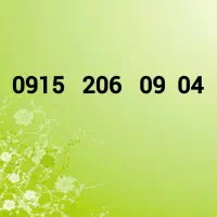 0915-206-09-04
