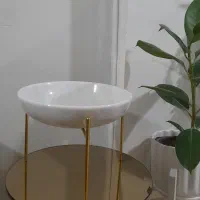 جا میوه ای