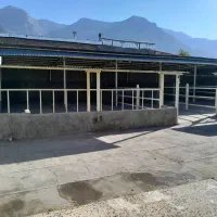 گاوداری|فروش دفتر صنعتی، کشاورزی، تجاری|چگنی, |دیوار