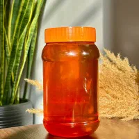 عسل ارگانیک، ژل رویال، گرده تحویل درب منزل|خوردنی و آشامیدنی|مشهد, تبادکان|دیوار