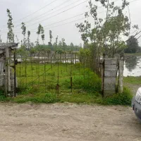 زمین باغی|فروش زمین و ملک کلنگی|تولم شهر, |دیوار