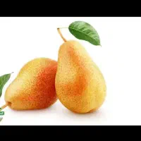 گلابی درگزی