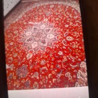 فرش ماشینی ۹ متری و ۱۲ متری|فرش|برخوار, |دیوار