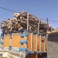 خریدو فروش درخت چوب کنده