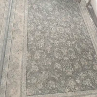 فرش ۶ متری ۱۲۰۰ شونه ۳۶۰۰ تراکم|فرش|پاپی, |دیوار