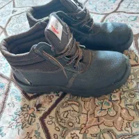 کفش کار|کیف، کفش، کمربند|شیراز, شهرک گلها|دیوار