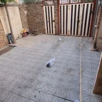 منزل‌مسکونی|اجارهٔ خانه و ویلا|کوهدشت, |دیوار