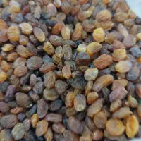 کشمش بی دانه تاکستان درجه یک|خوردنی و آشامیدنی|فولادشهر, مسکن مهر فولادشهر|دیوار