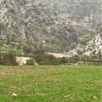 زمین مسکونی ۱۷۰متری