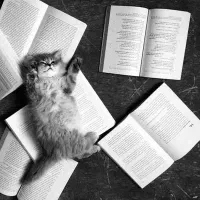 تدریس ریاضی و فیزیک دانشگاه و دبیرستان