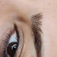 نیازمند مدل آرایش دائم برای تکمیل آلبوم( رایگان)|خدمات آرایشگری و زیبایی|داراب, |دیوار