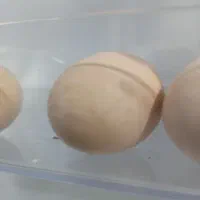 تخم مرغ محلی