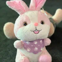 عروسکها کاملا نو هستن مغازه رو جمع کردم|اسباببازی|آمل, |دیوار