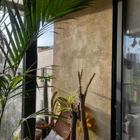 اجرا و آموزش میکروسمنت|خدمات پیشه و مهارت|تهران, آرژانتین|دیوار