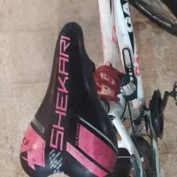 دوچرخه گالانت ۲۶|دوچرخه، اسکیت، اسکوتر|شیراز, کوشک میدان|دیوار