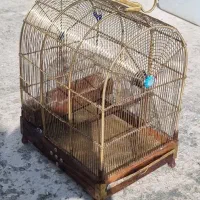 قفس برنجی سهره