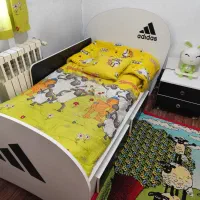 تخت کاملا تمیز و تشک طبی