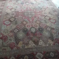 فرش دوازده متری|فرش|کرمانشاه, |دیوار