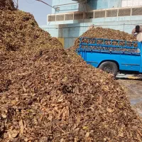 فروش تفاله چغندری