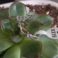 انگشتر های استیل زد آب