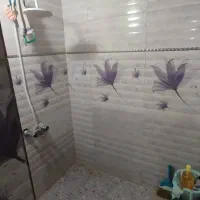 اجاره خانه در شیخ علی چوپان|اجارهٔ خانه و ویلا|شیراز, شیخ علی چوپان|دیوار
