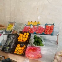 طبق میوه فروشی|فروشگاه و مغازه|قم, بنیاد|دیوار