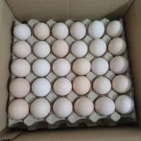 تخم مرغ گلپایگانی