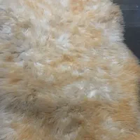 خز نو|فرش|ایرانشهر, |دیوار