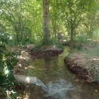 باغچه نقلی ۱۲۰۰ متر با درختان مثمر، بوئین زهرا،شال|فروش زمین و ملک کلنگی|شال, |دیوار