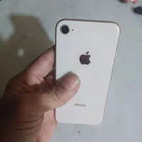 iphone 8|موبایل|کرج, باغستان|دیوار